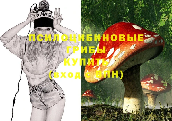 ПСИЛОЦИБИНОВЫЕ ГРИБЫ Алексеевка