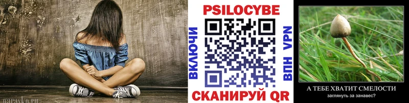 наркотики  ссылка на мегу ONION  Псилоцибиновые грибы Psilocybe  Самара 